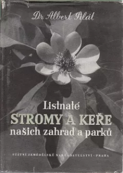 Listnaté stromy a keře našich zahrad a parků