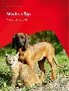 Madla a Ťap