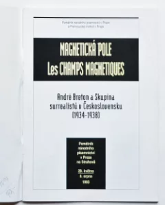 Magnetická pole
