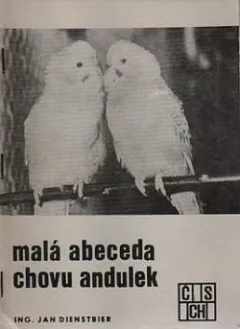 Malá abeceda chovu andulek