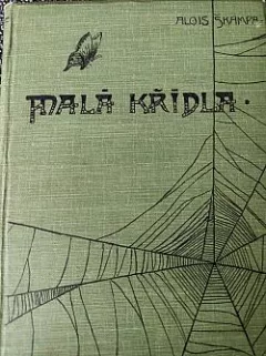 Malá křídla