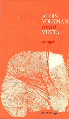 Malá vizita