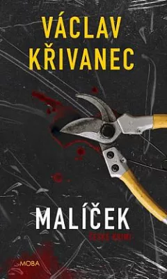 Malíček