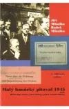 Malý hanácký pitaval 1945 aneb Hříšní lidé města vyškovského a jejich strážci zákona