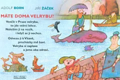 Máte doma velrybu?
