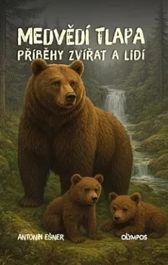 Medvědí tlapa