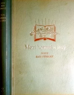 Mezi horami a lesy II.