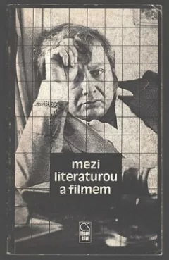 Mezi literaturou a filmem