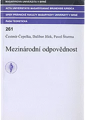 Mezinárodní odpovědnost