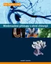 Miniinvazivní přístupy v cévní chirurgii