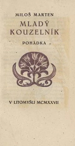 Mladý kouzelník: Pohádka