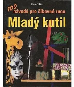 Mladý kutil - 100 návodů pro šikovné ruce