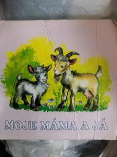 Moje máma a já