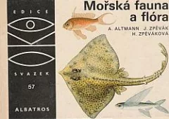 Mořská fauna a flóra