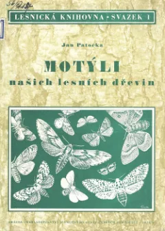 Motýli našich lesních dřevin