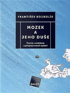 Mozek a jeho duše