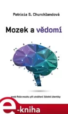 Mozek a vědomí  aneb Role mozku ve vzniku lidské identity