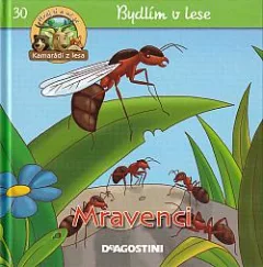 Mravenci