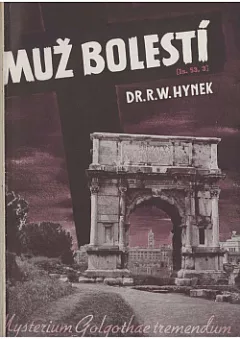 Muž bolestí