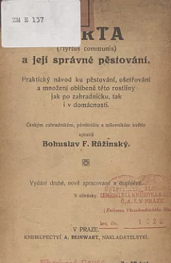 Myrta a její správné pěstování