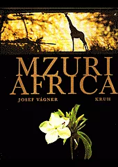Mzuri africa
