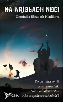 Na krídlach noci