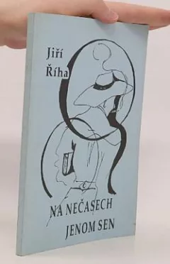 Na nečasech jenom sen
