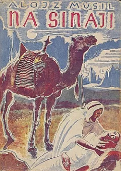 Na Sinaji