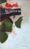Na špičce ledovce