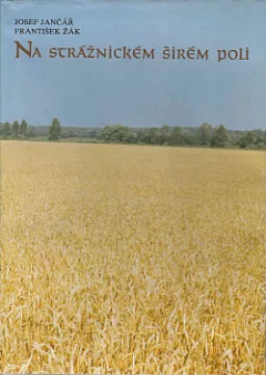Na strážnickém širém poli