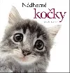 Nádherné kočky