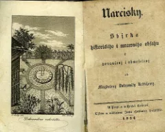 Narcisky