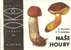 Naše houby