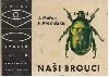 Naši brouci