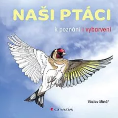 Naši ptáci: K poznání i vybarvení
