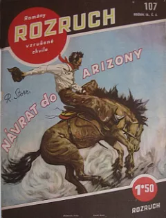 Návrat do Arizony