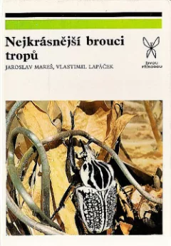 Nejkrásnější brouci tropů