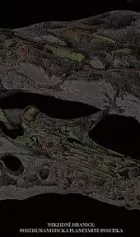 Neklidné hranice: Posthumanistická planetární (po)etika