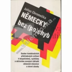 Německy bez (po)chyb 1