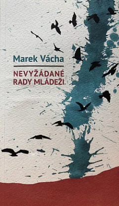 Nevyžádané rady mládeži