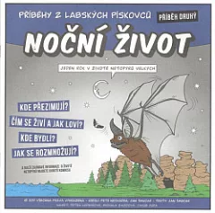 Noční život