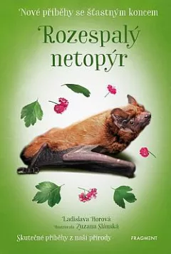 Rozespalý netopýr
