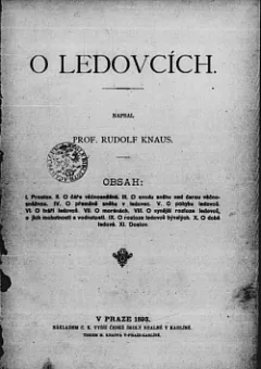 O ledovcích