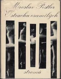 O strachu osamělých stromů