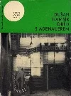 Oběd s Adenauerem