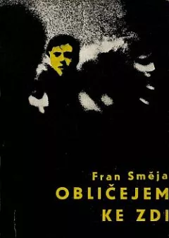 Obličejem ke zdi
