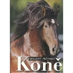 Obrazový průvodce koně