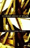 Ochrana dřeva ve stavbě