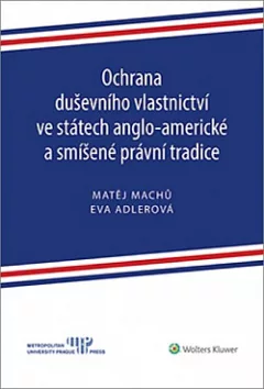 Ochrana duševního vlastnictví ve státech anglo-americké a smíšené právní tradice
