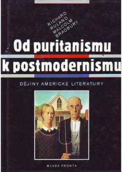 Od puritanismu k postmodernismu. Dějiny americké literatury